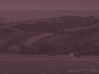 Enoteca Regionale dei Vini della Provincia di TorinoNCIA DI TORINO